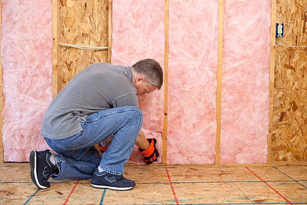 Best Commercial Insulation Services  in Chelsea, MI